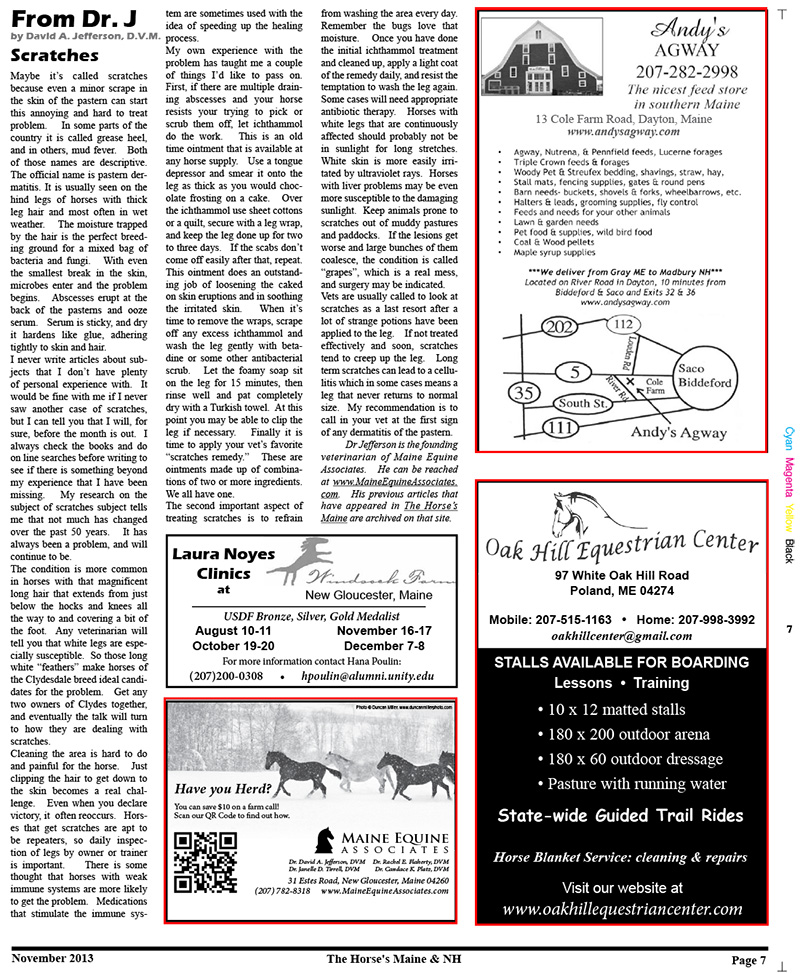 Horse's Maine Nov Issue for web-7