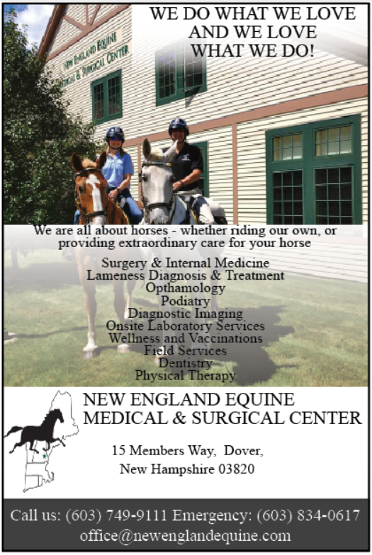 New England Equine Medical and-Surgical Center